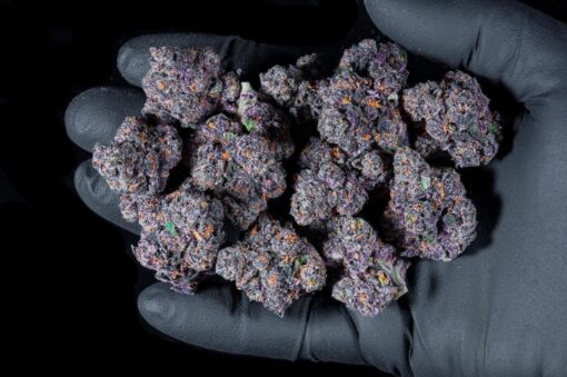Boutiq Bulk Flowers, Boutiq Brand, Boutiq thc, Boutiq Weed Brand,Boutiq Weed Review